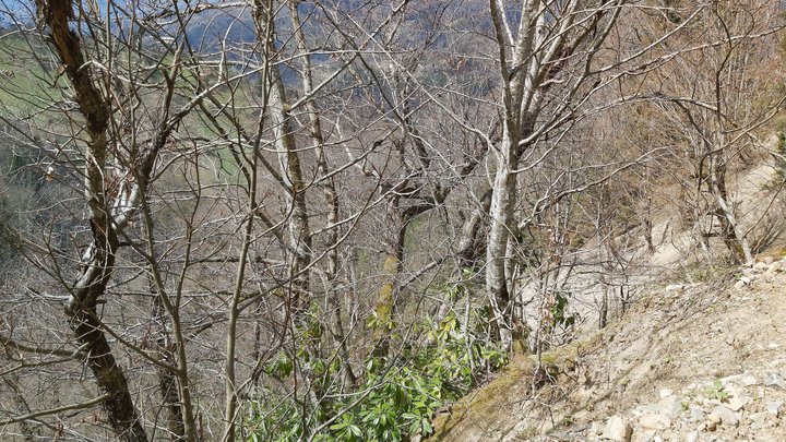 merissi-garetke-georgia-212.jpg