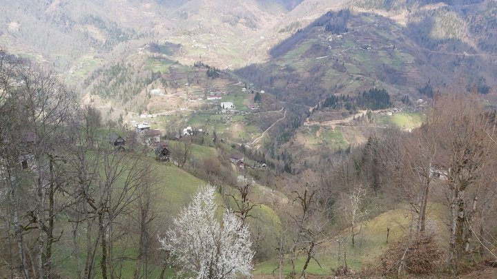 merissi-garetke-georgia-218.jpg