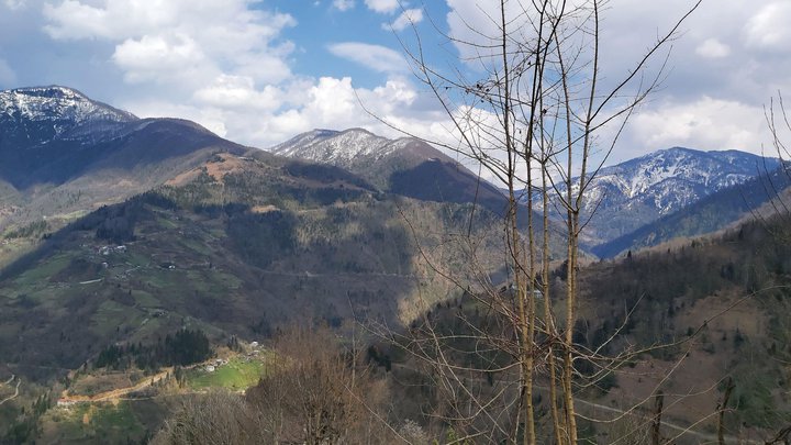 merissi-garetke-georgia-220.jpg