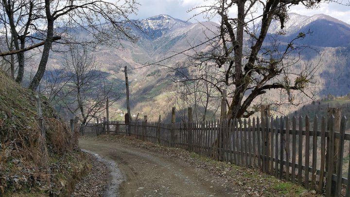 merissi-garetke-georgia-227.jpg