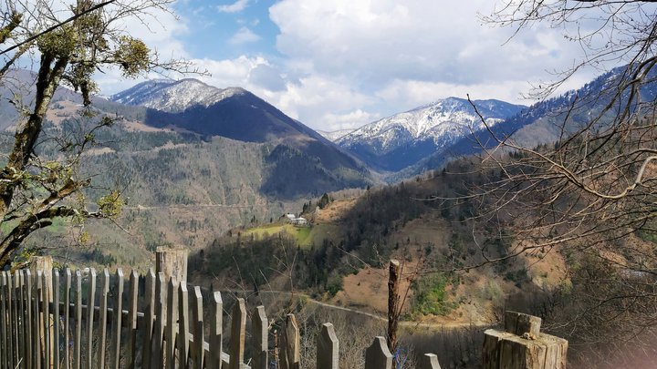 merissi-garetke-georgia-228.jpg