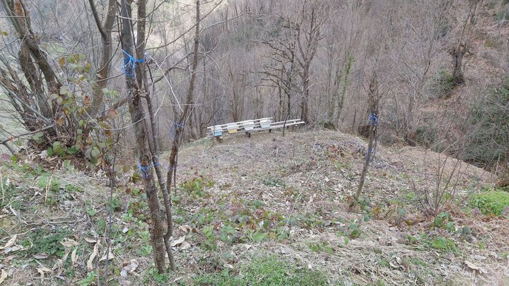 merissi-garetke-georgia-229.jpg