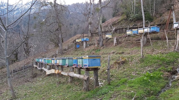 merissi-garetke-georgia-240.jpg