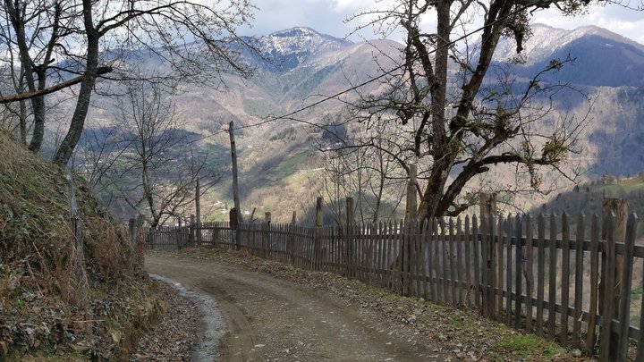 merissi-garetke-georgia-241.jpg