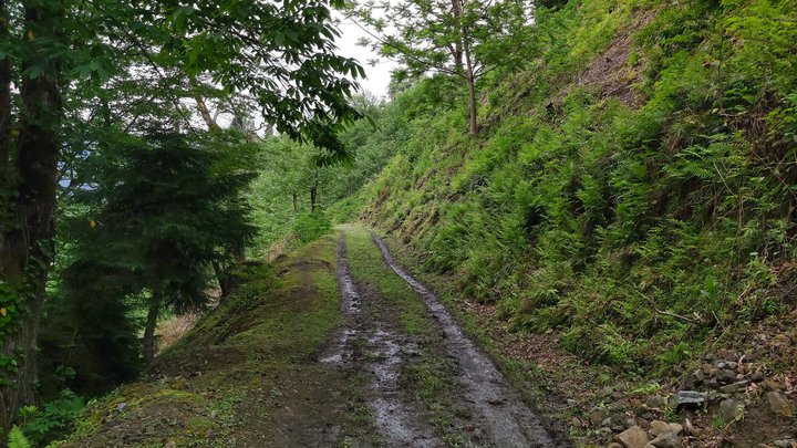 merissi-garetke-georgia-29.jpg