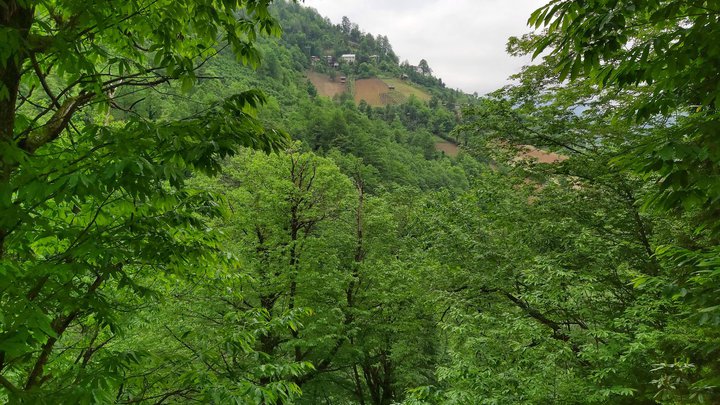 merissi-garetke-georgia-30.jpg