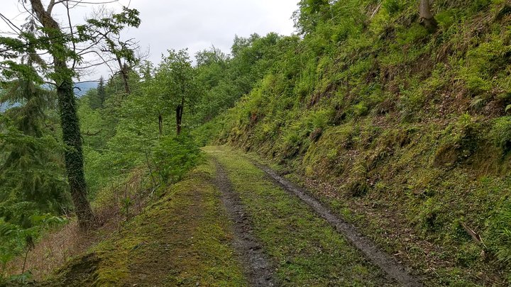 merissi-garetke-georgia-31.jpg