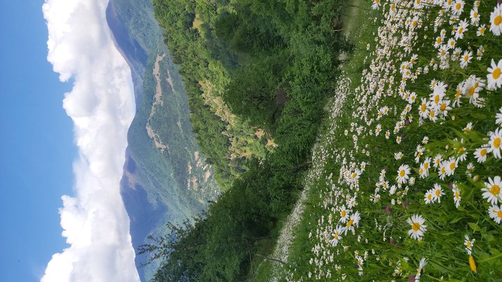 merissi-garetke-georgia-60.jpg