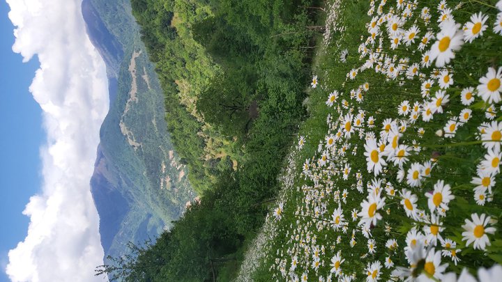 merissi-garetke-georgia-61.jpg