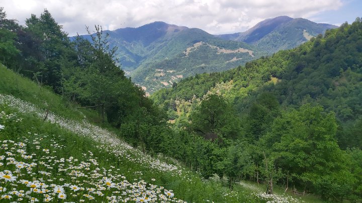 merissi-garetke-georgia-64.jpg