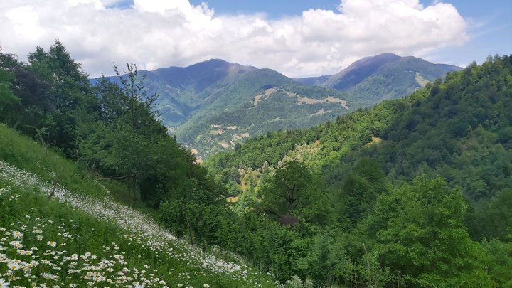 merissi-garetke-georgia-65.jpg
