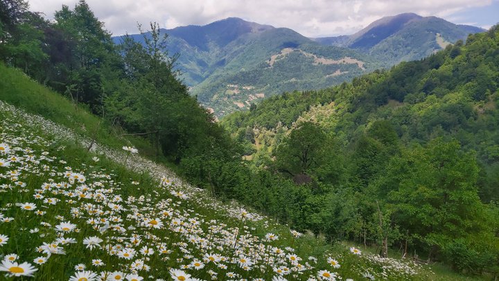 merissi-garetke-georgia-67.jpg
