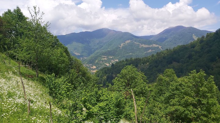 merissi-garetke-georgia-69.jpg