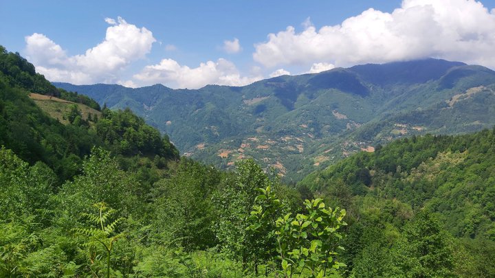 merissi-garetke-georgia-73.jpg