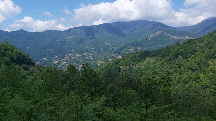 merissi-garetke-georgia-75.jpg