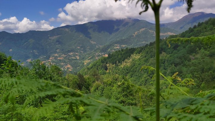 merissi-garetke-georgia-77.jpg