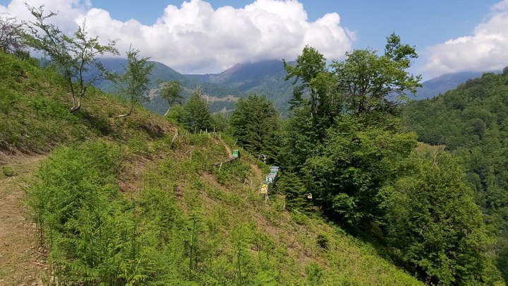 merissi-garetke-georgia-87.jpg