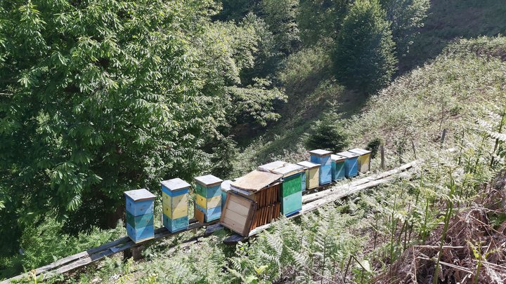 merissi-garetke-georgia-90.jpg