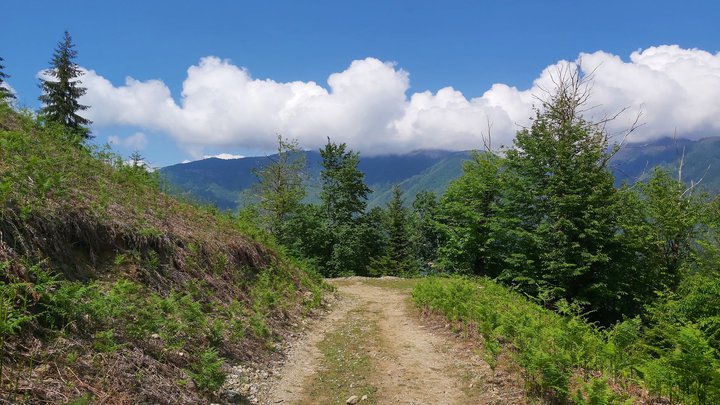 merissi-garetke-georgia-92.jpg