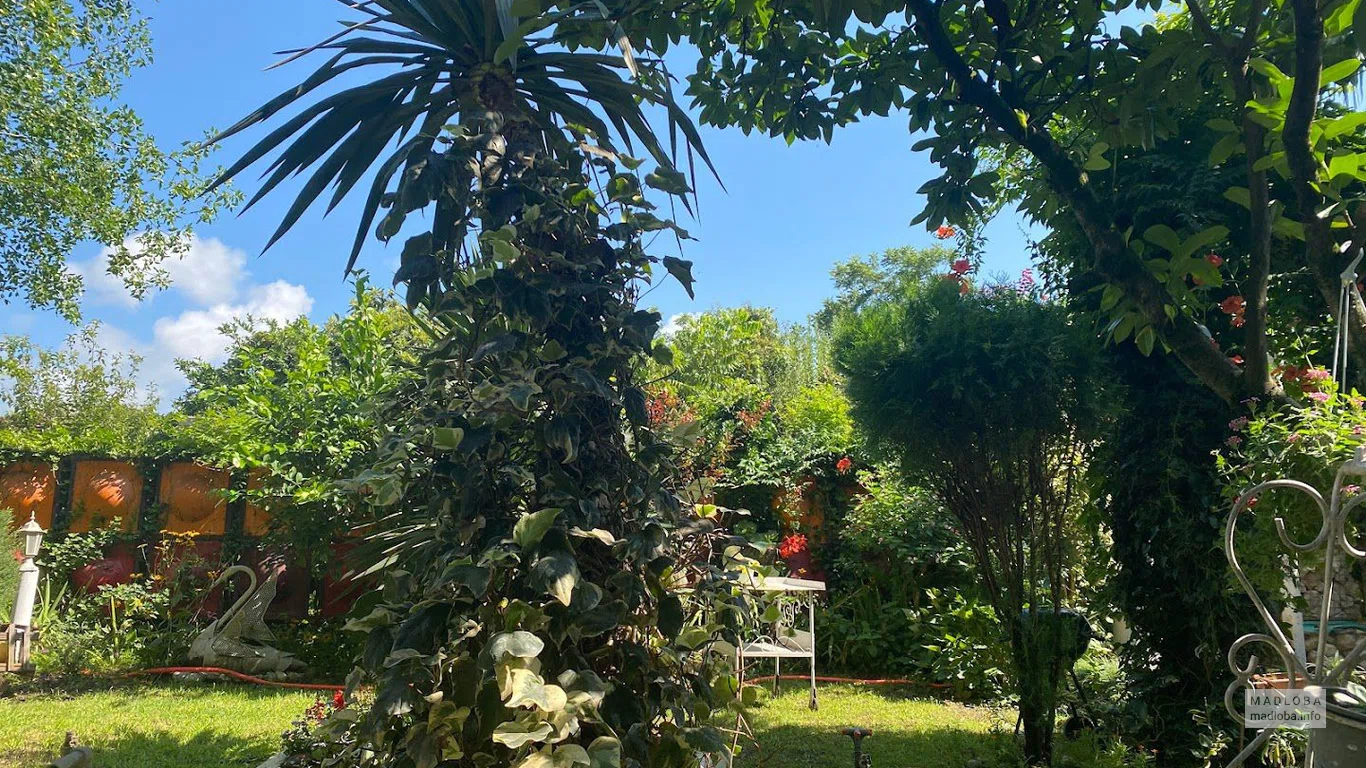 Mimka's Garden
