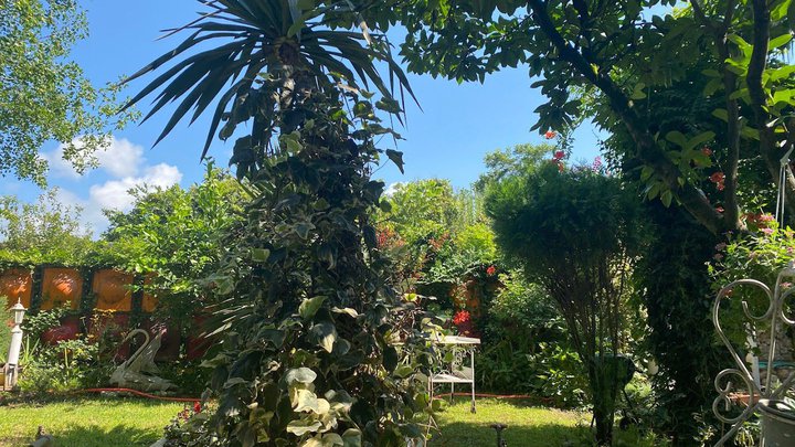 Mimka's Garden
