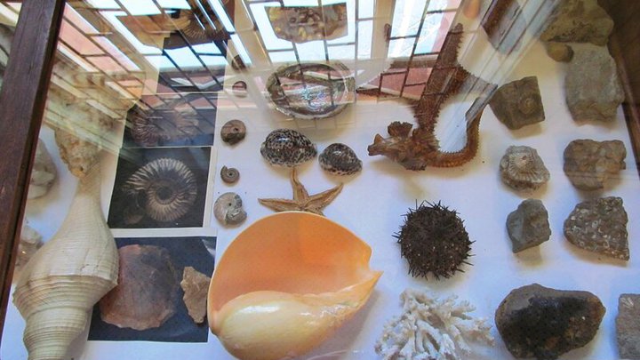 Museum of Minerals