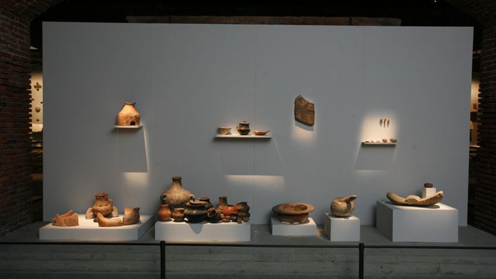 Mikhail Javakhishvili Museum