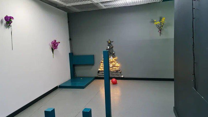 Museum of Illusions