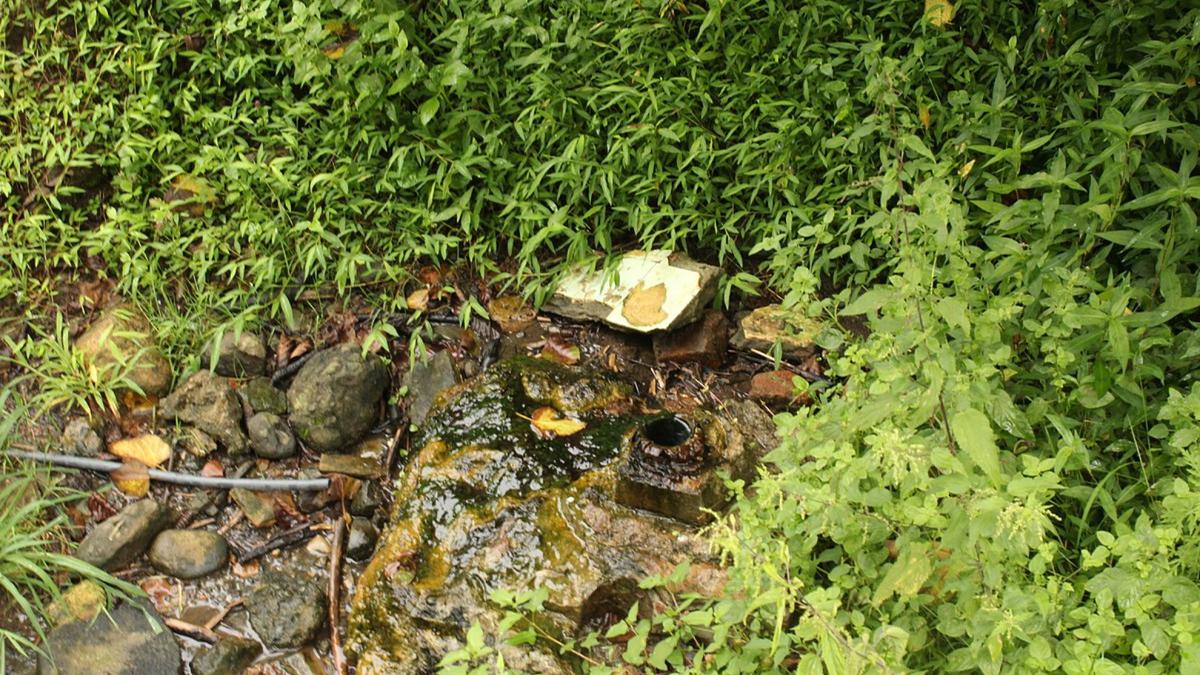 Источник с минеральной водой в Насакирали