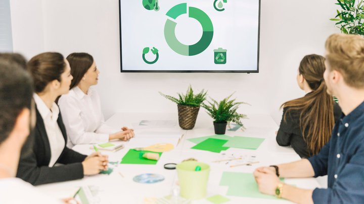 Ecoaudit Consulting Company
