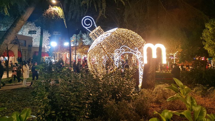 Dedaena Park