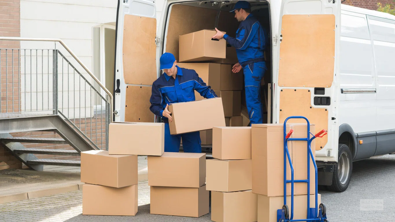 Tbilisi Cargo Service