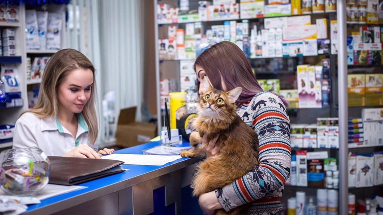 Pet stores in Kutaisi