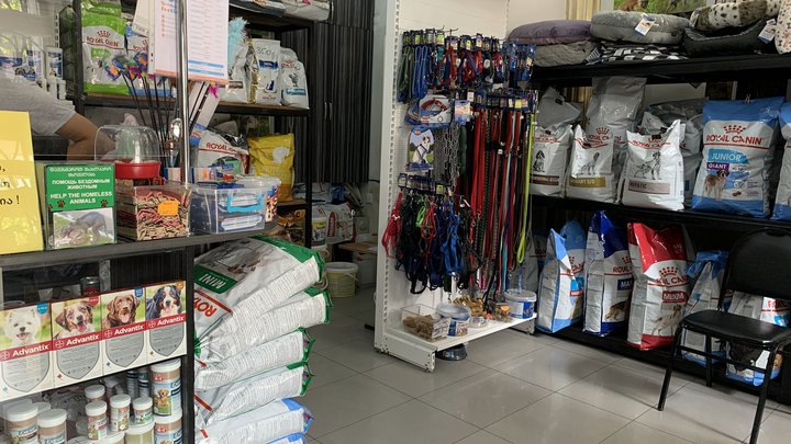 Royal Canin