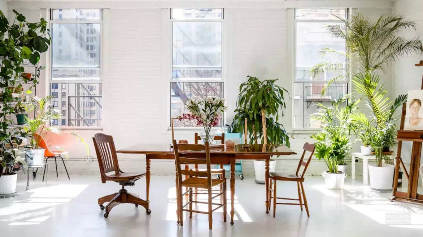 Pirosmani Courtyard Apartment