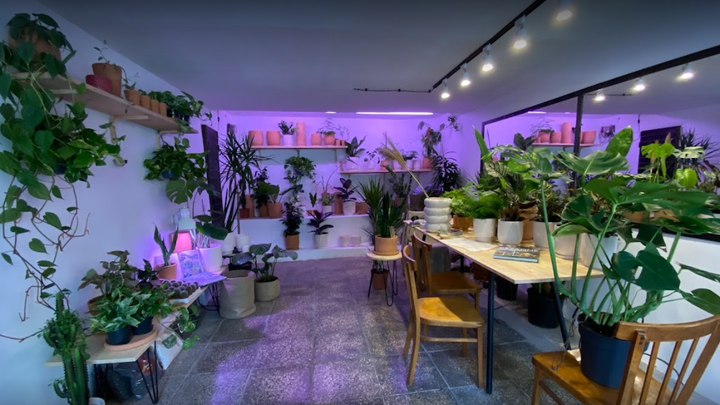 Plant Lovers Tbilisi