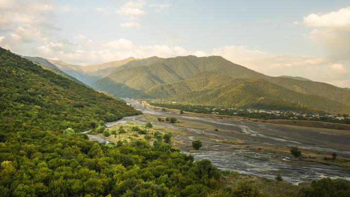Alazani floodplain forest