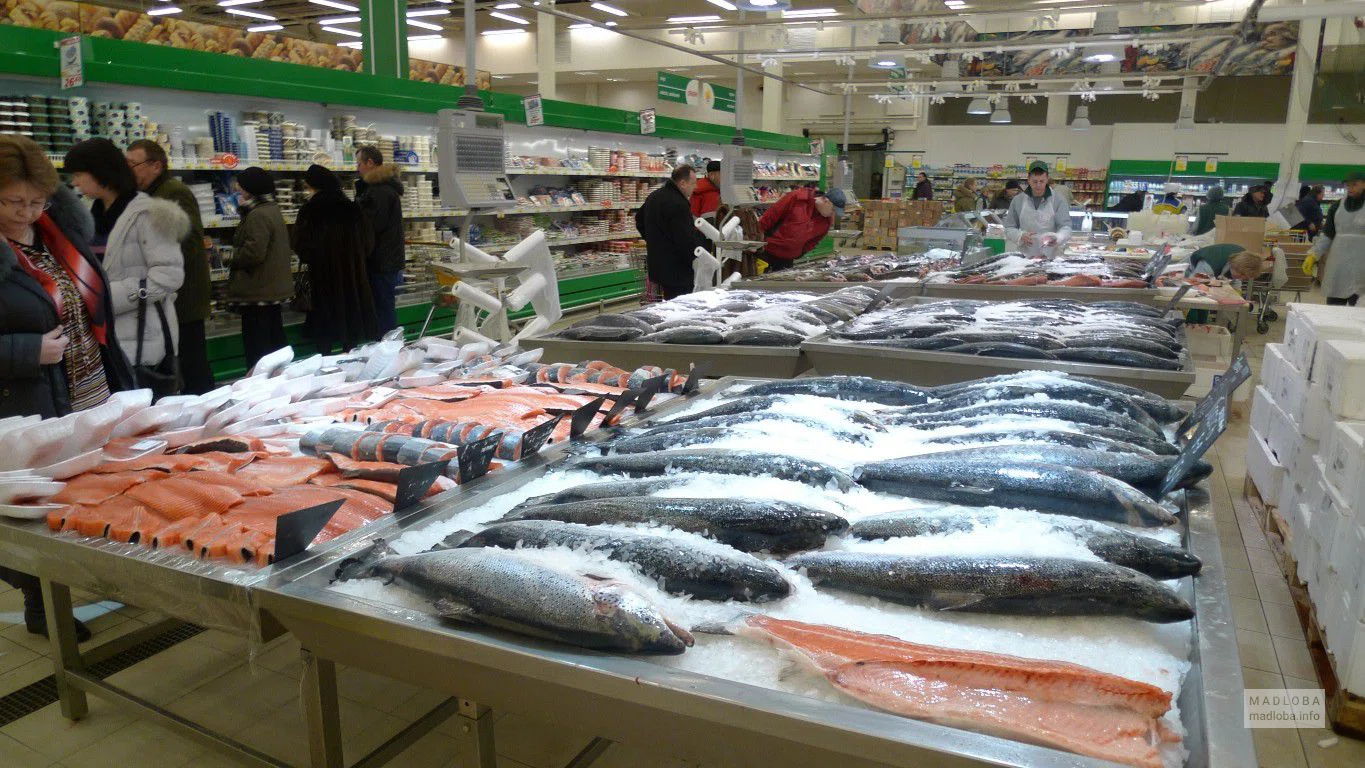 გრიინ ფიუჩერ ჯორჯია