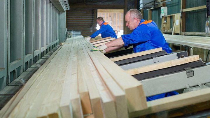 Geo Timber