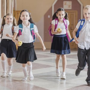 
										Private schools
