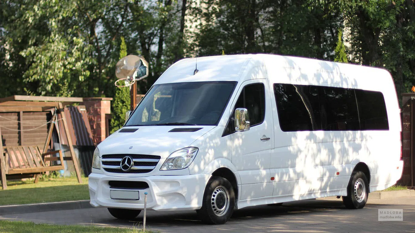 Lion Car Rentals