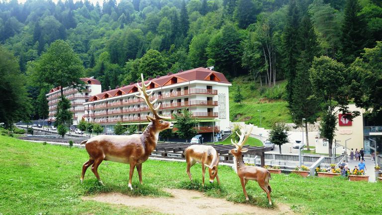 Sairme – deer area near Kutaisi
