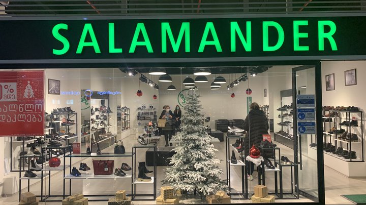Salamander