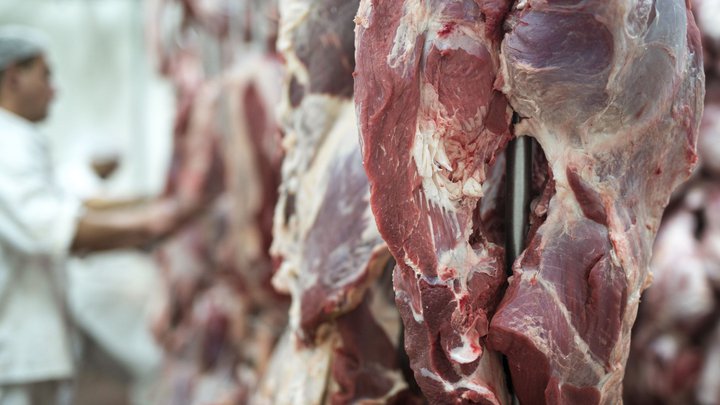 Iber Meat Georgia
