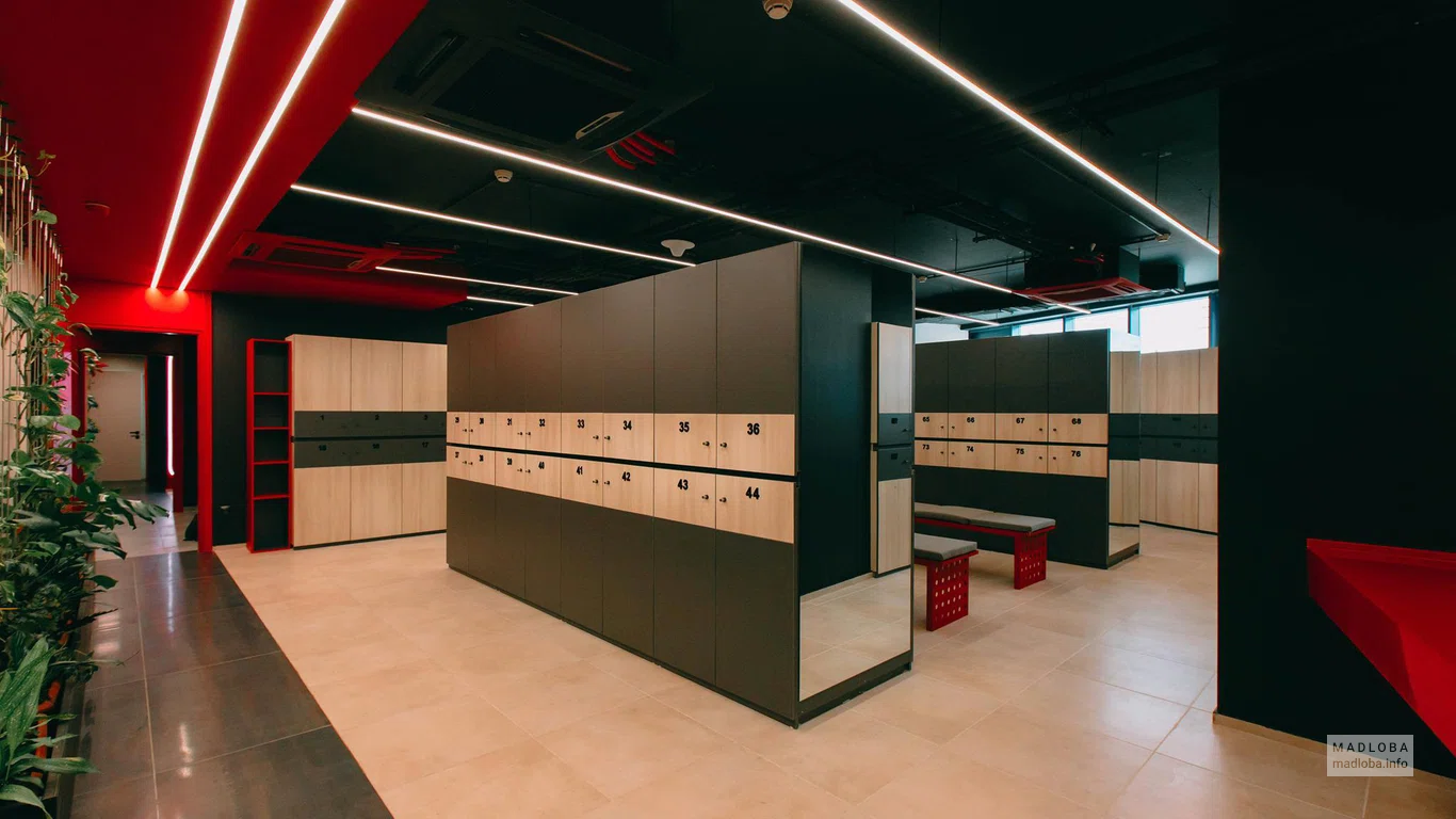 Snap Fitness (King David)