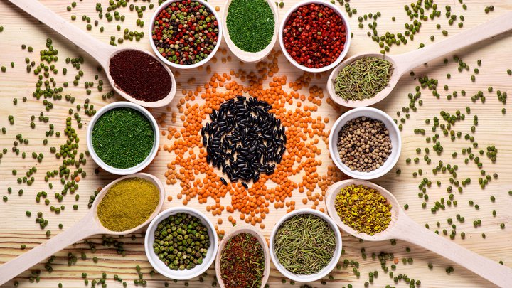 Gogi 2015
