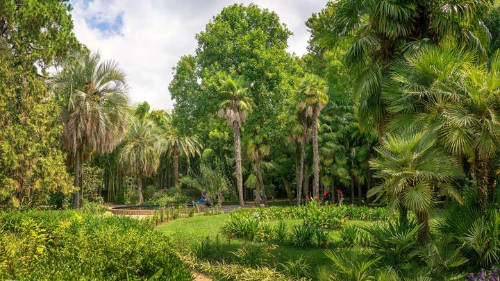 Sukhumi. Stroll through the garden of ancient times