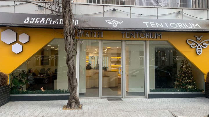 Tentorium