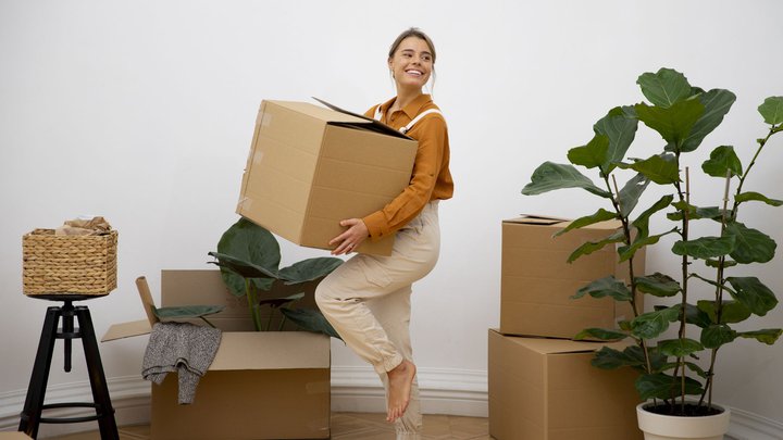 The latest features in the organization of the move