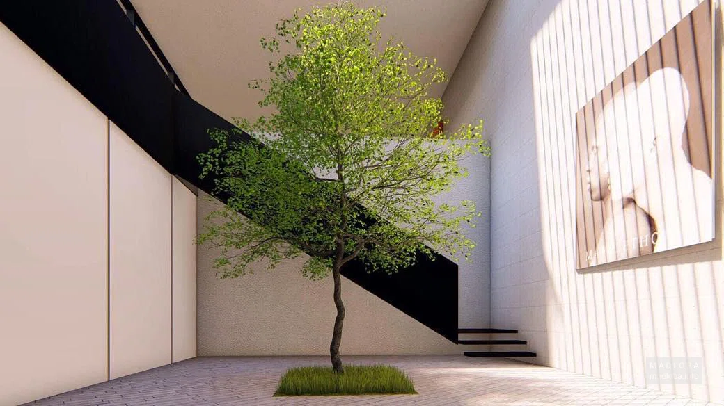 TIMM Architecture